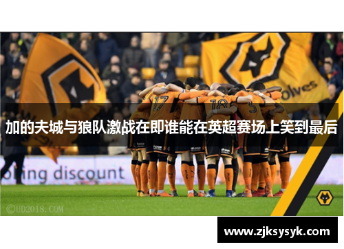 加的夫城与狼队激战在即谁能在英超赛场上笑到最后