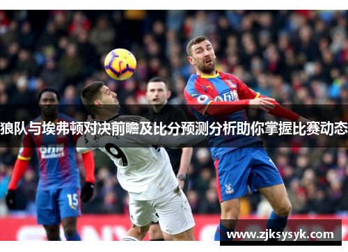 狼队与埃弗顿对决前瞻及比分预测分析助你掌握比赛动态
